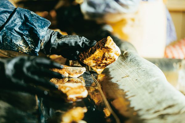 大まかな等級分けと岩石などを選別。すべて手作業で行われる